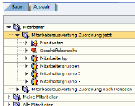 00768MitarbeiterauswertungZuordnungJetzt.png