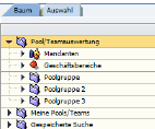 00775BildschirmauskunftManagementPoolsTeams.png