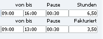 01099StundenerfassungZeiteingabeA.png