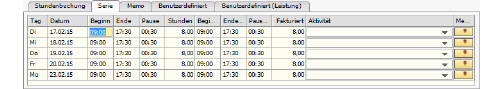 01106StundenerfassungSerieEingabemaske.png