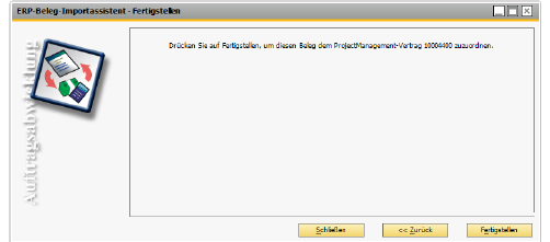 07868ERPBelegImportAssistentLetzteSeite.png