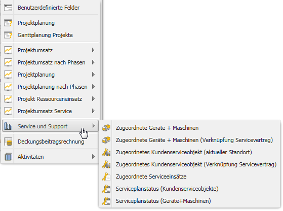 09085WebClientProjektstammOptionenServiceUndSupport.png