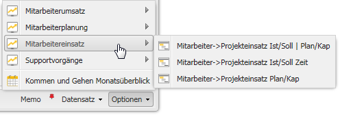 09091WebClientMitarbeiterstammOptionenMitarbeitereinsatz.png