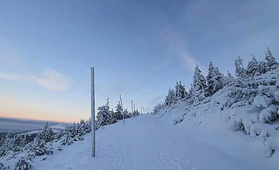 SAP Business One ELSTER 2026