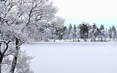 SAP Business One 10 FP 2208 ist verfügbar