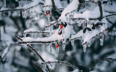 ELSTER 2023 für SAP Business One 10.0 verfügbar