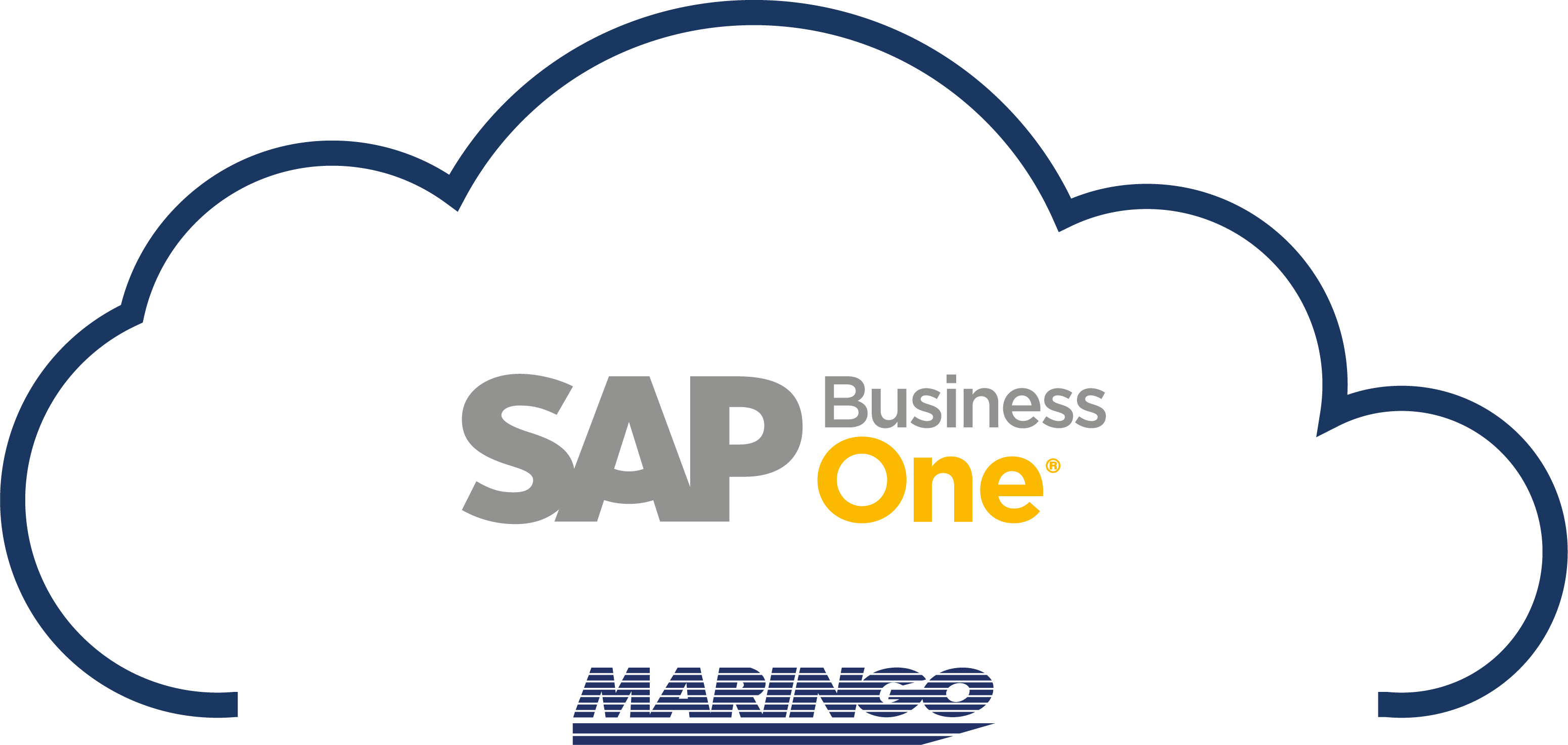 SAP Business One Preise Cloud