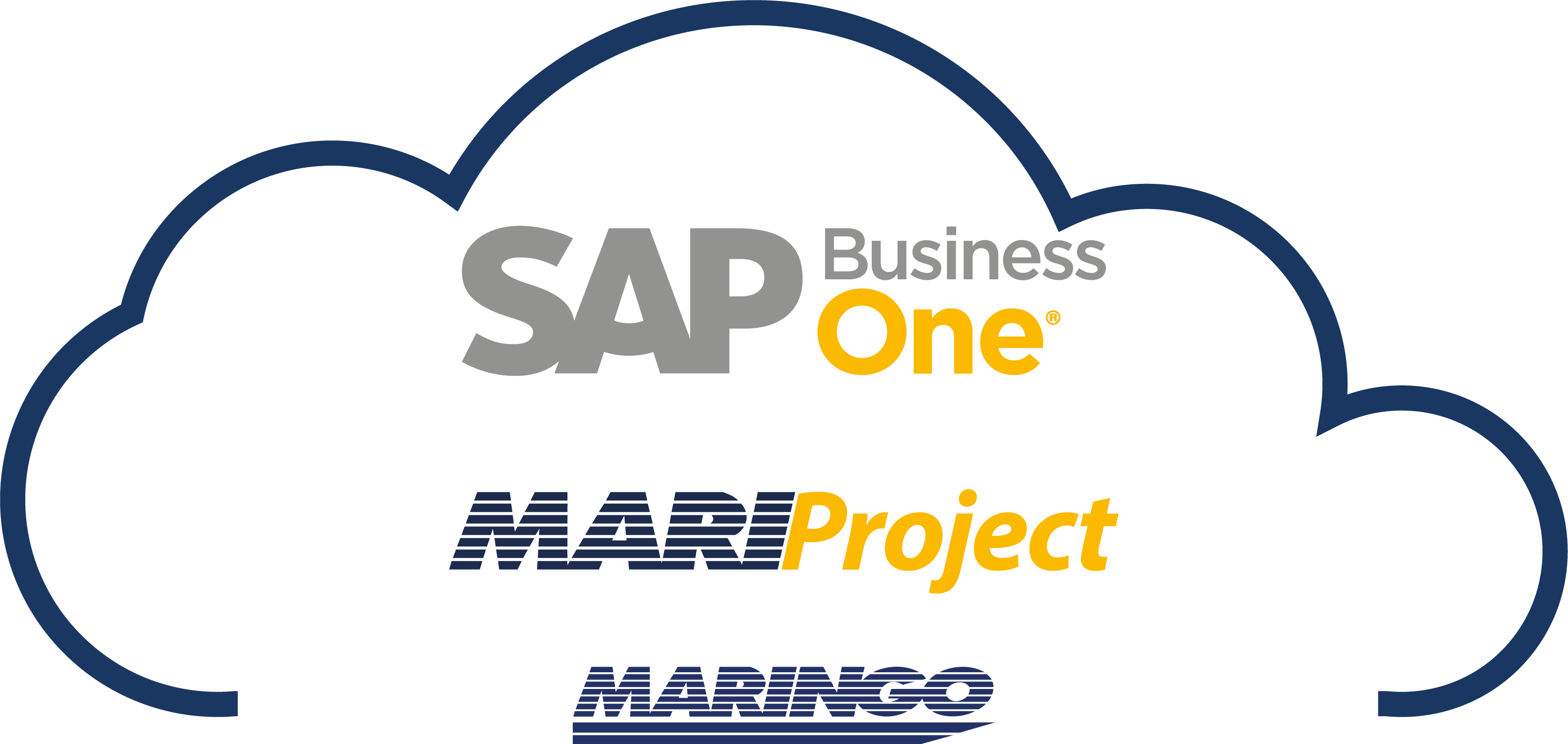SAP Business One MARIProject Preise Cloud